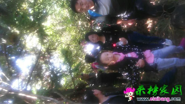 085411utmsm370l3j8sy0z.webp