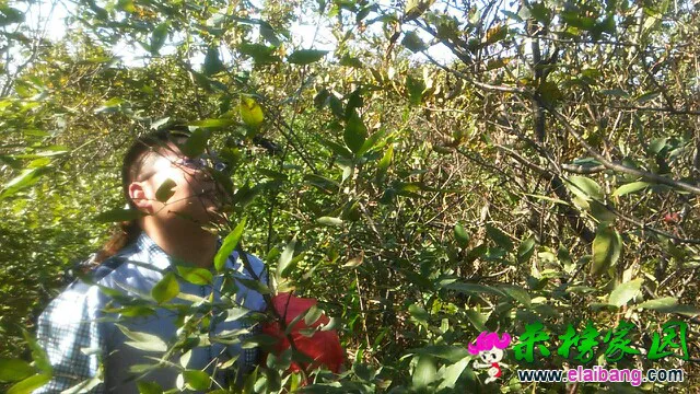 092443a4v5z8fme6755m76.webp