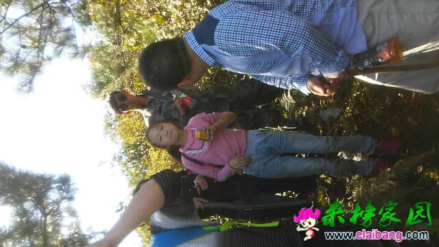 103016eix33sres74z3kri.webp