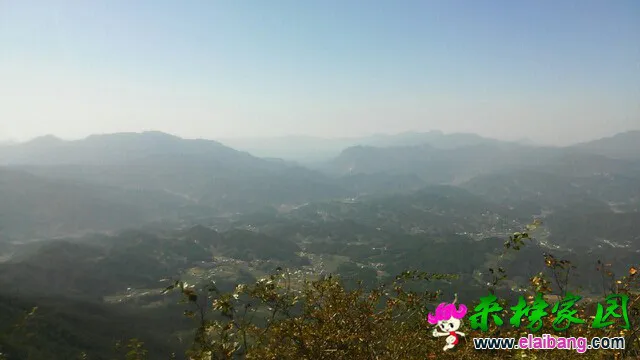 104342kbg24f4pb4p353q5.webp