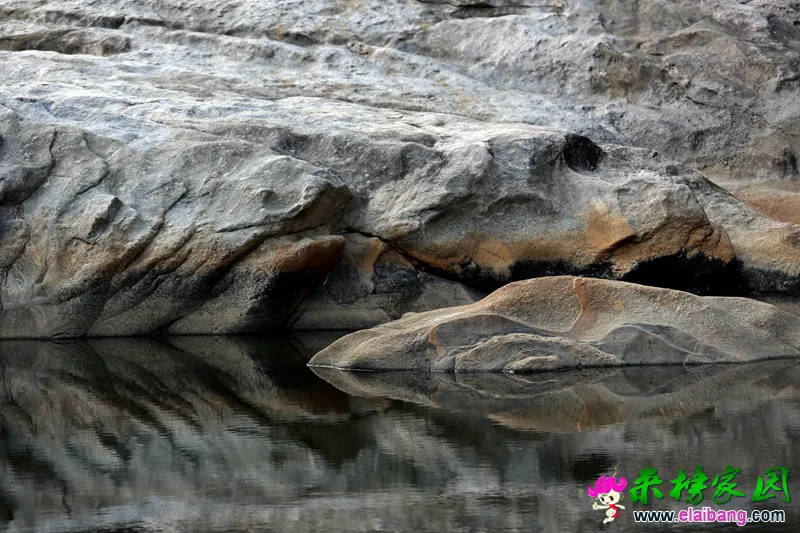 HD8A0286.webp