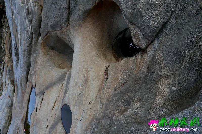 HD8A0343.webp