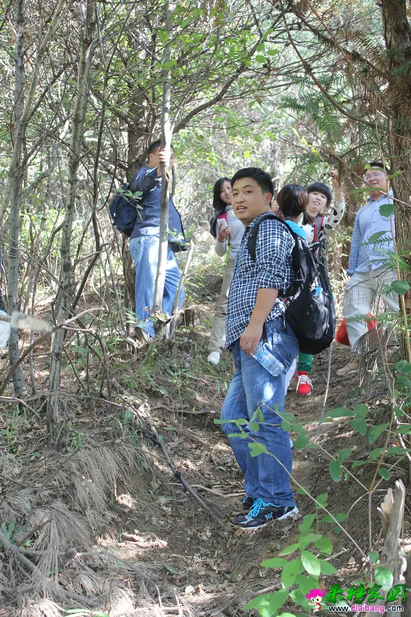 IMG_1226.webp