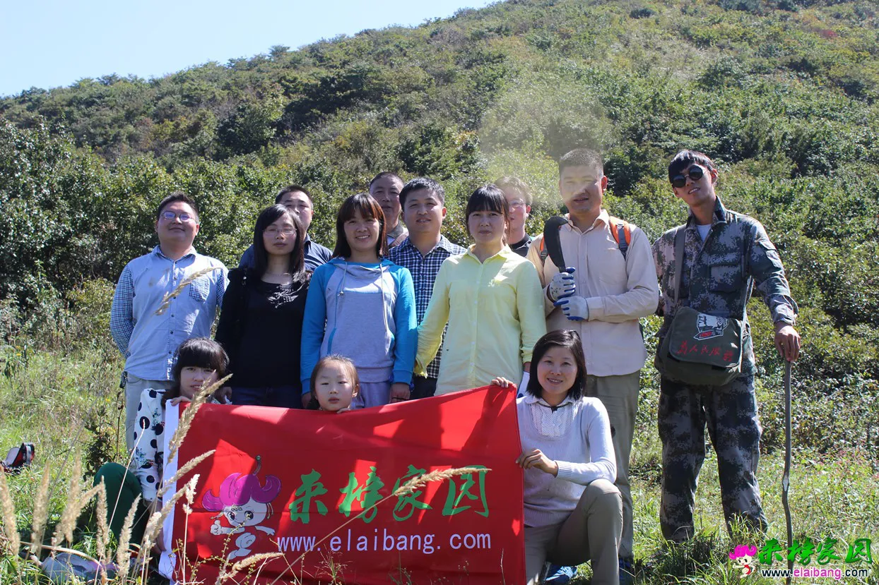 IMG_1300.webp