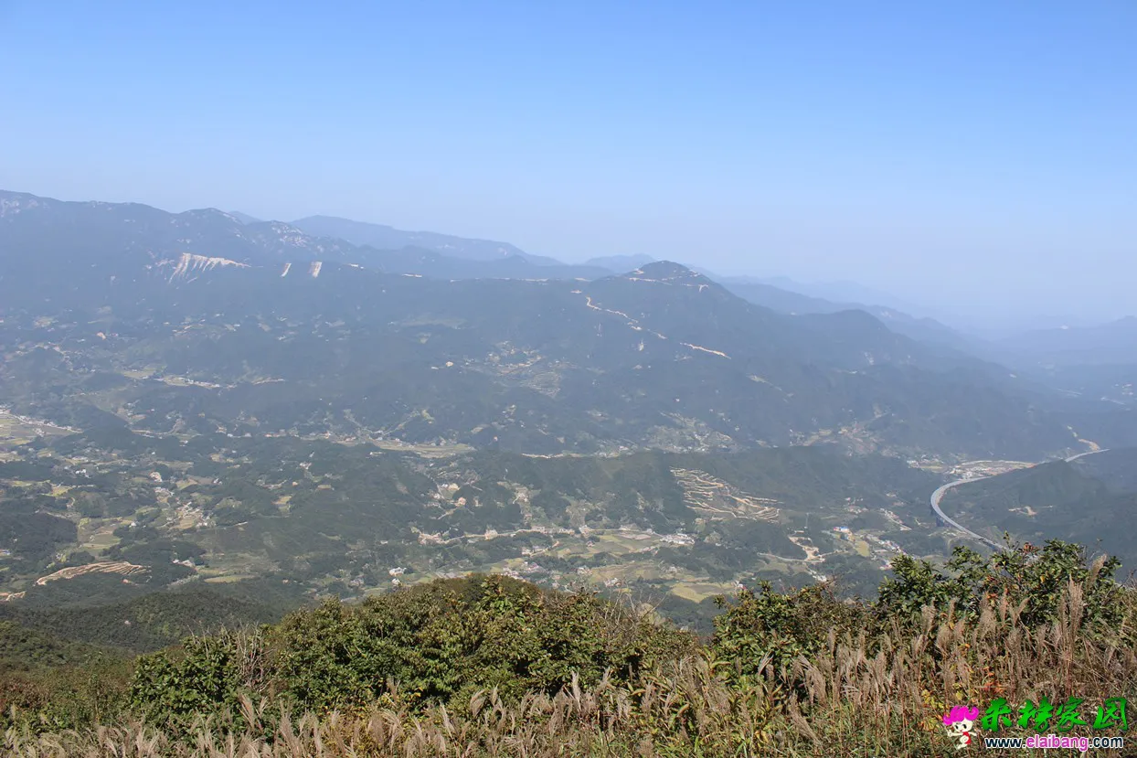 IMG_1316.webp