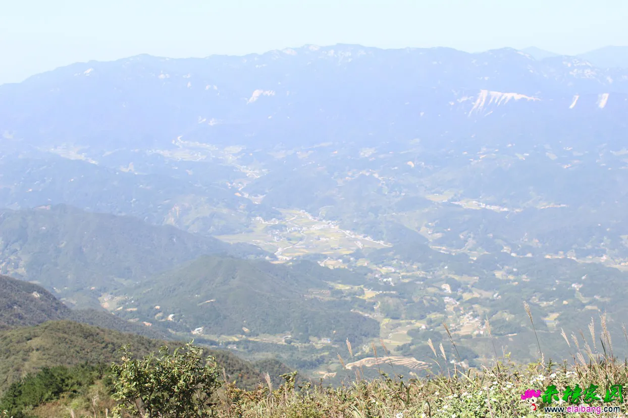 IMG_1340.webp