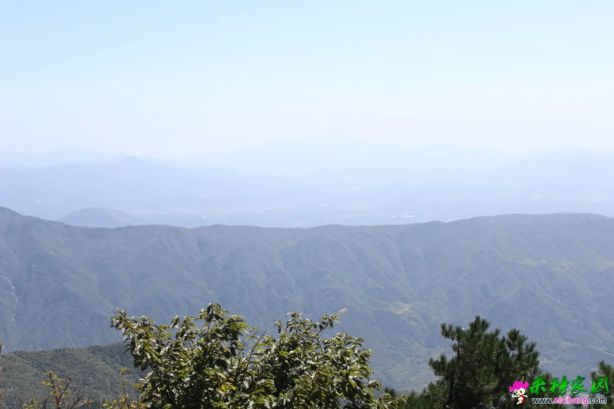 IMG_1345.webp