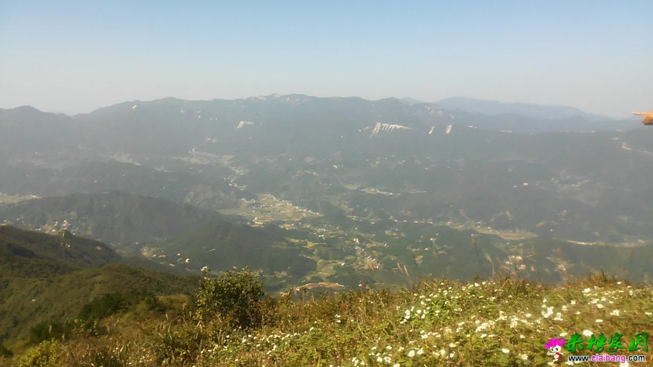 IMG_20141003_123151.webp