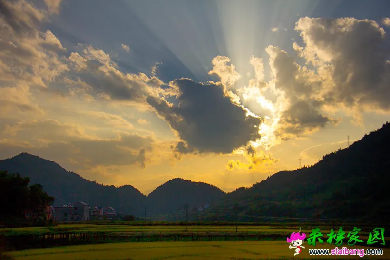 13_副本.webp