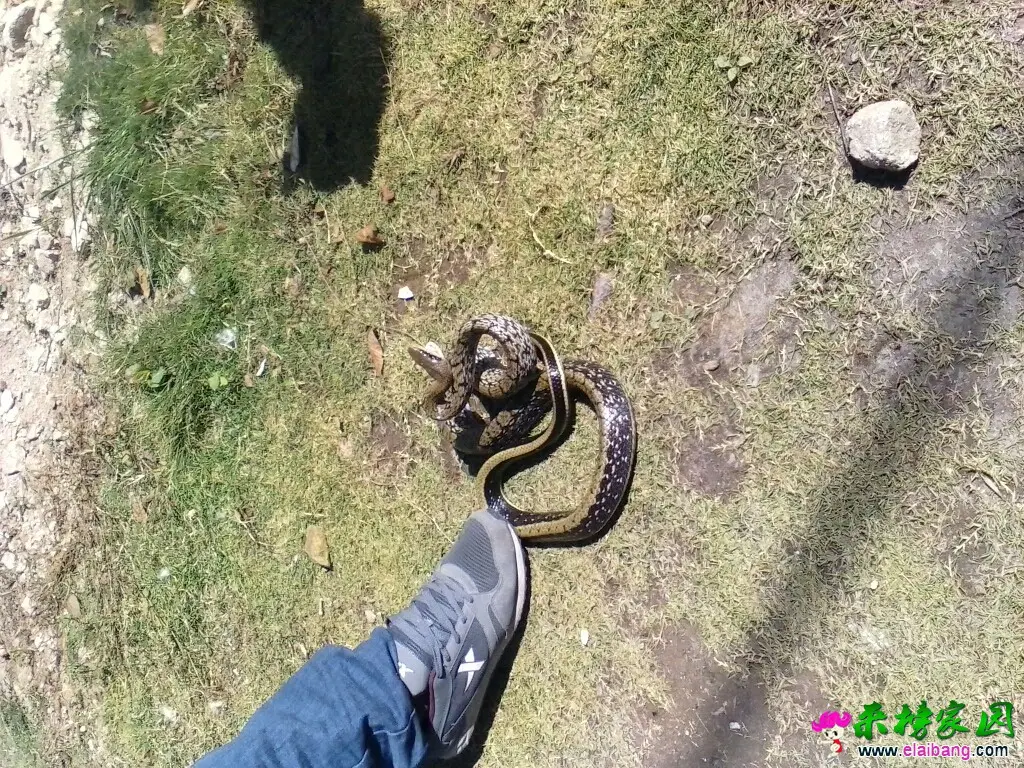 131438xqszkqo22ikkkqkr.webp