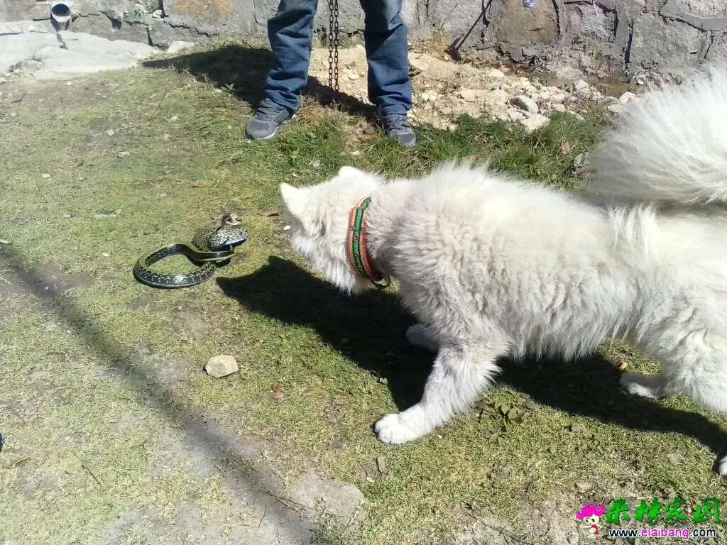 131452zzbq2xxzx221a6qz.webp