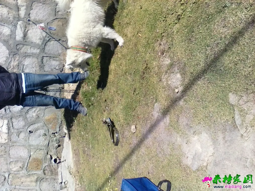 131505mqp6pfctkexbpbb5.webp