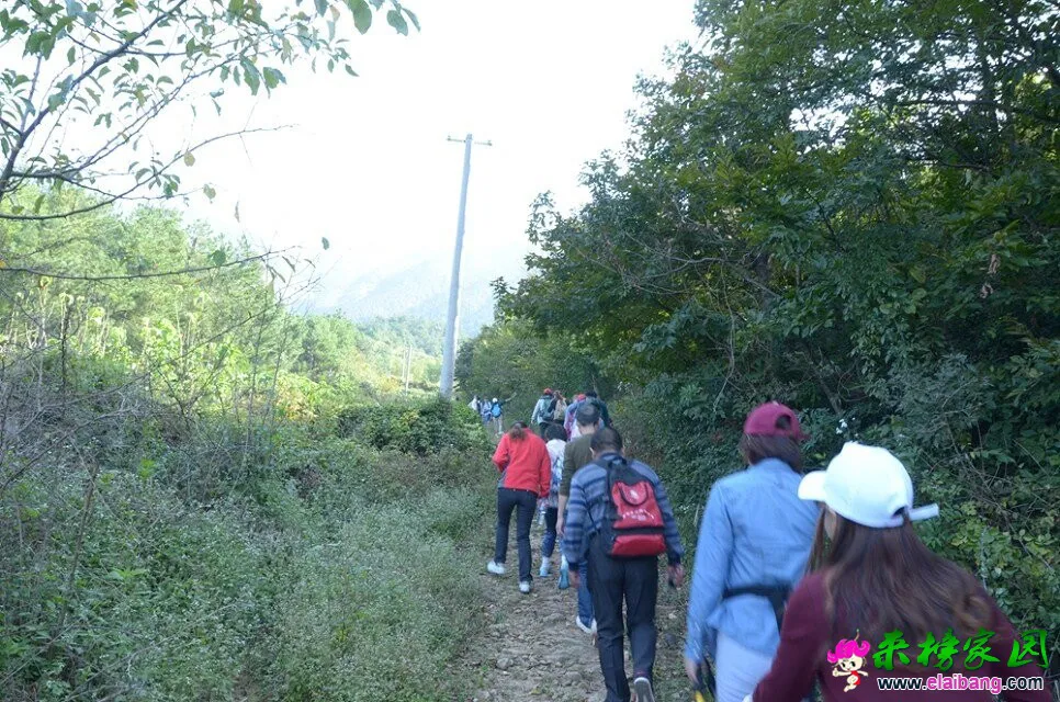 QQ图片20081123233123.webp