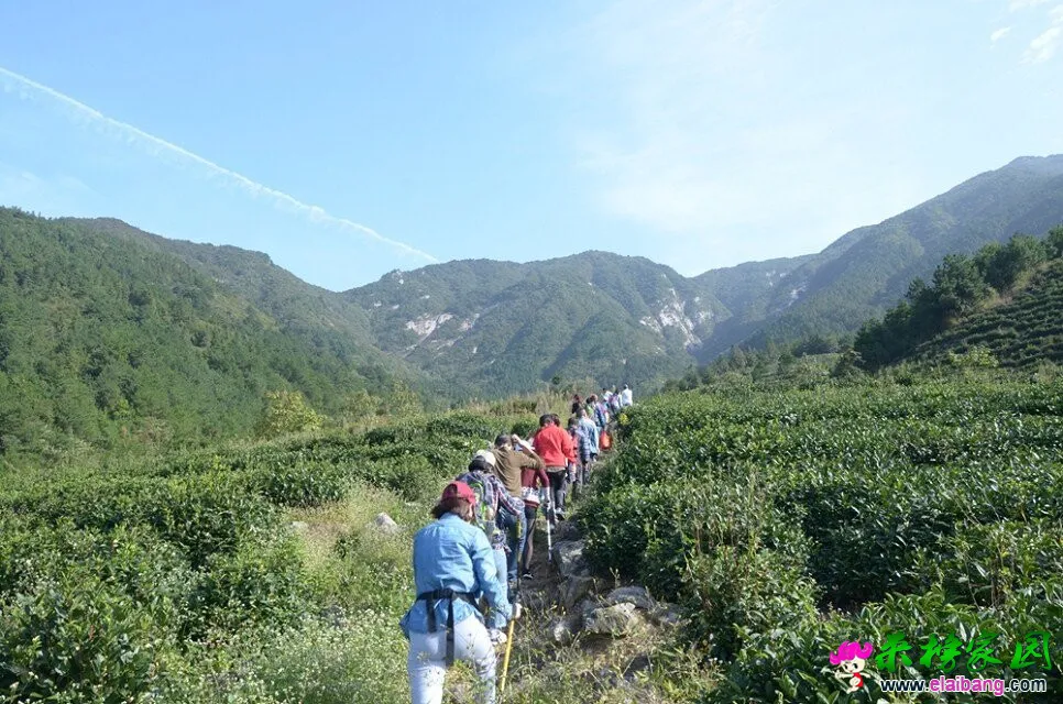 QQ图片20081123233137.webp