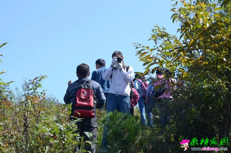 QQ图片20081123230245.webp