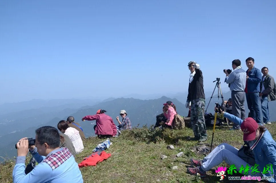 QQ图片20081123233441.webp