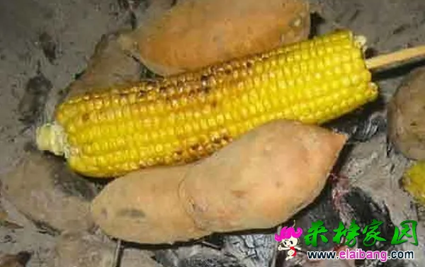 QQ截图20141009100045.webp