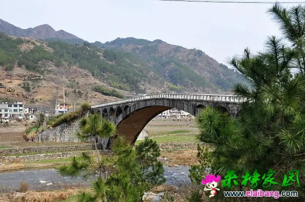 QQ图片20141009193956.webp