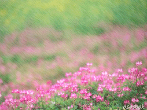 0 (7).gif