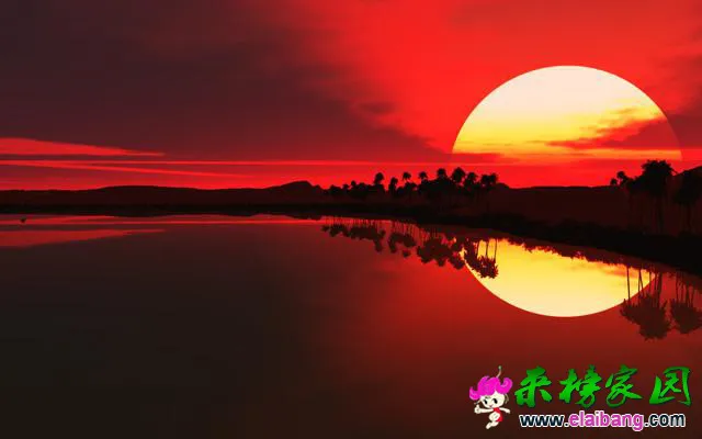 0 (13).webp