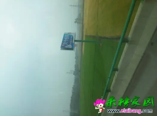 104500qn8qes8e3qvl8mq3.webp