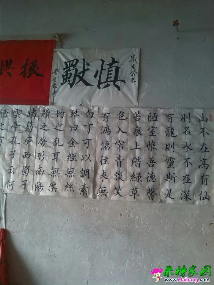 QQ图片200201011414163.webp