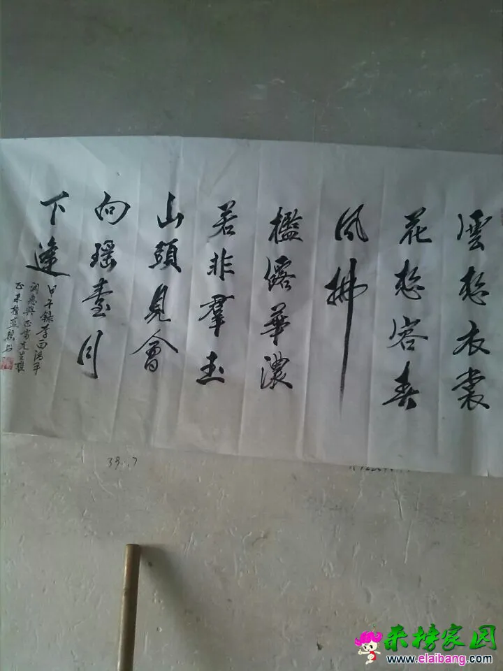 QQ图片200201011414295.webp