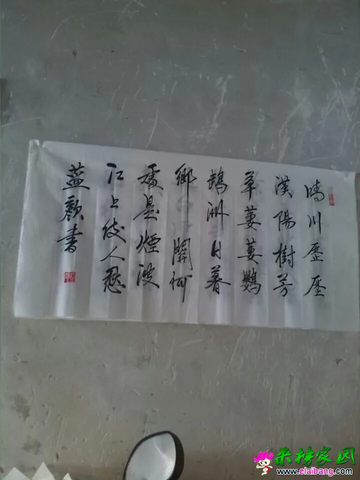 QQ图片200201011415169.webp