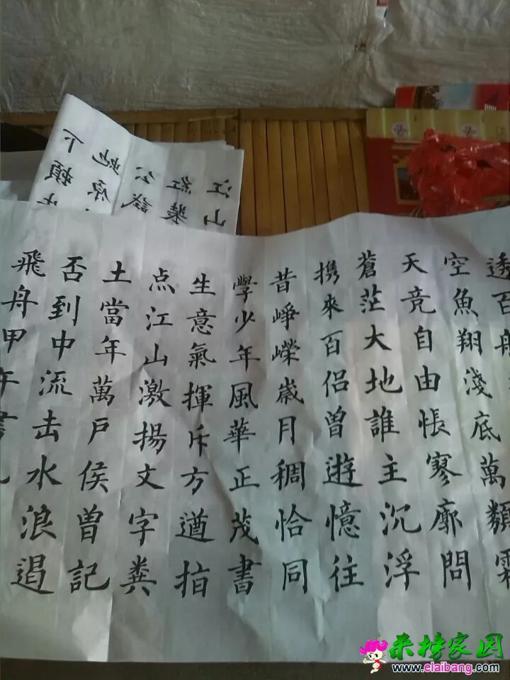 QQ图片2002010114153410.webp