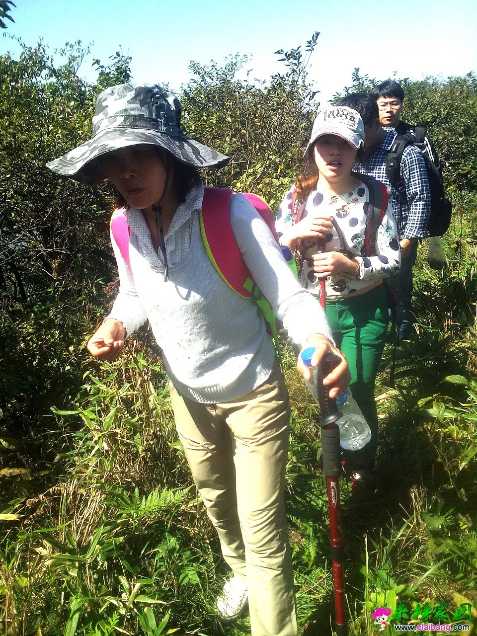 IMG_20141003_110836_调整大小.webp