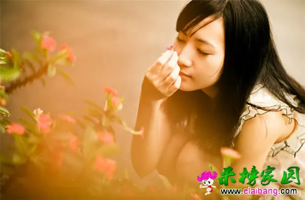 142477733.webp