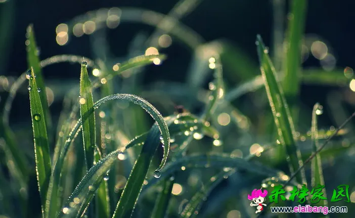 QQ截图20141018101815.webp