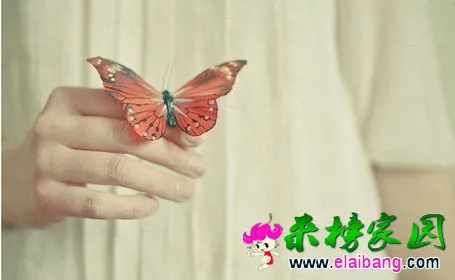 QQ截图20141018103506.webp
