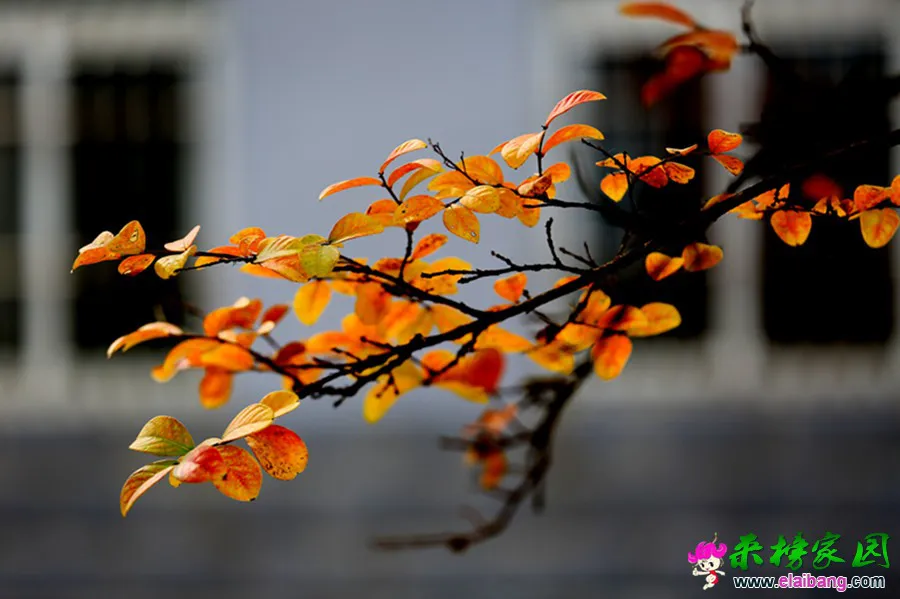 HD8A0446.webp