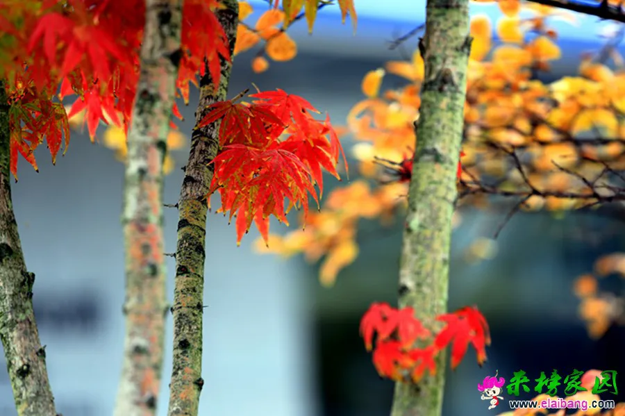 HD8A0469.webp