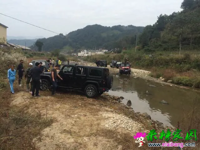 QQ图片20141018165421.webp
