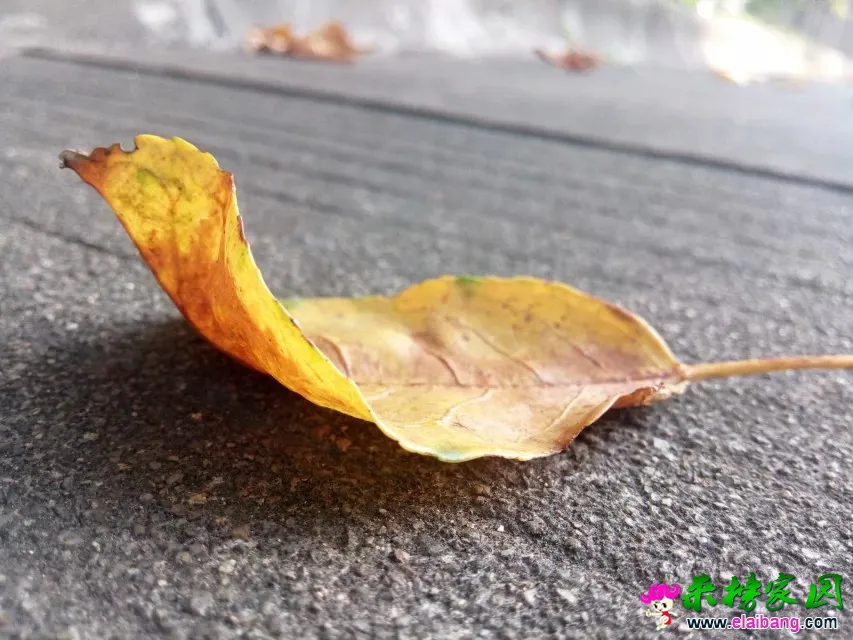 333.webp