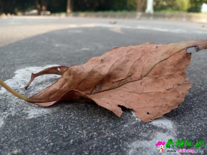 3444.webp