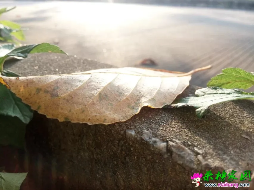 4543545.webp