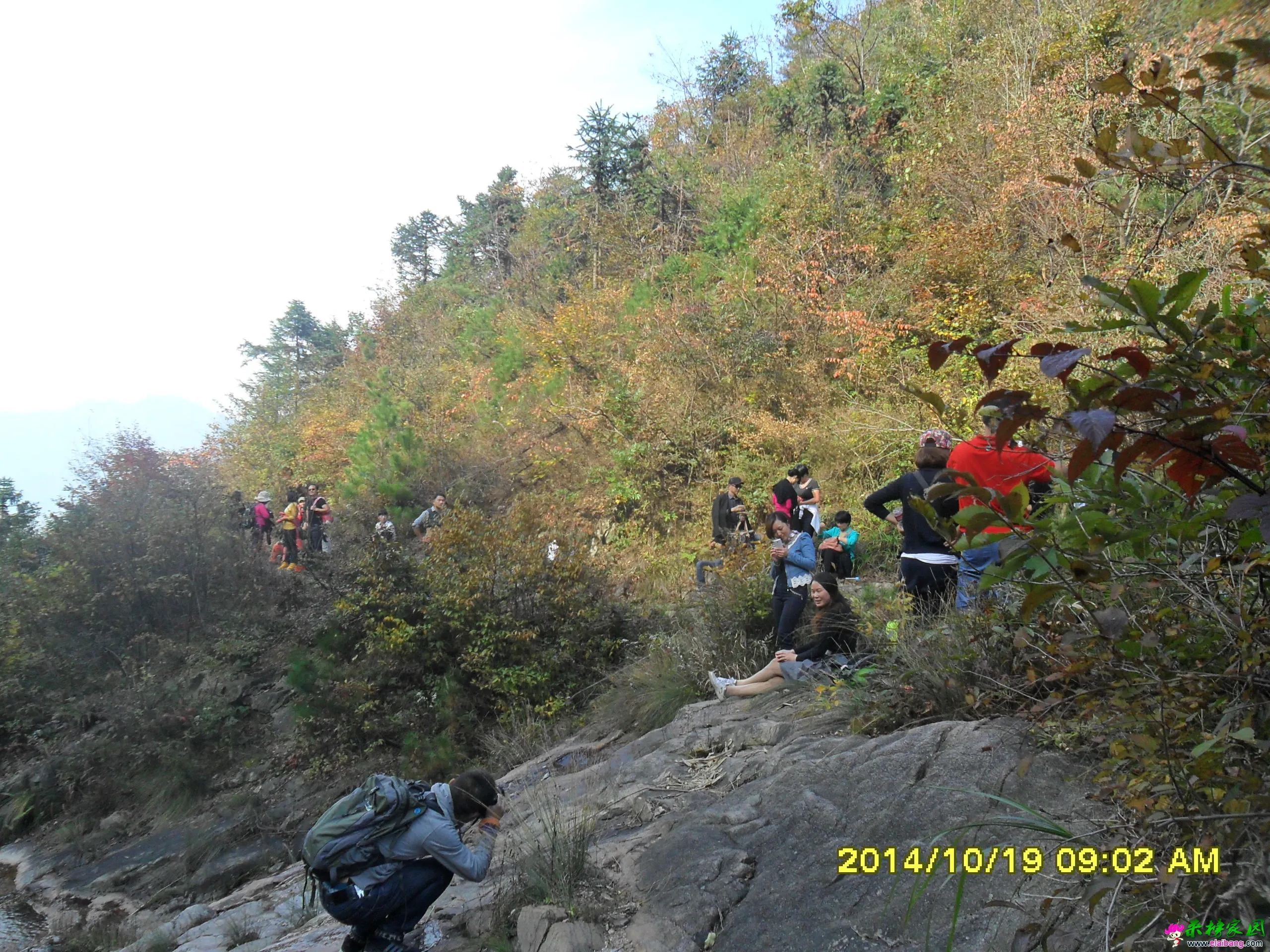 SAM_1659.webp