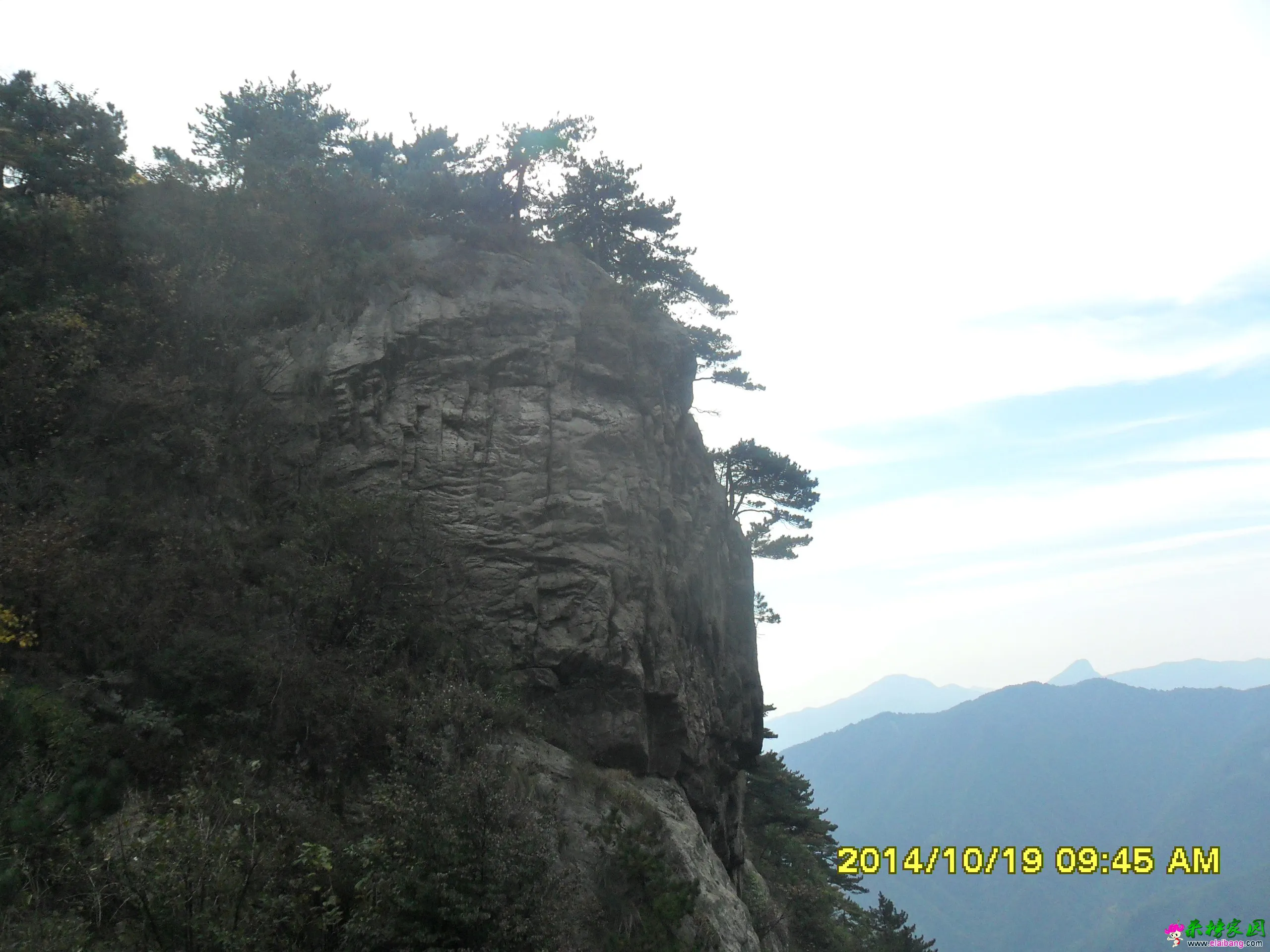 SAM_1665.webp