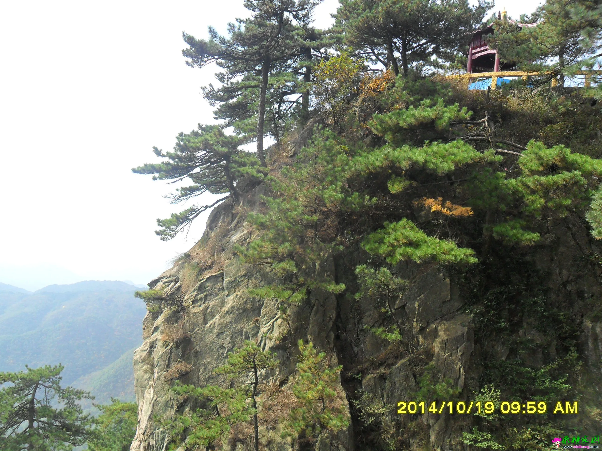 SAM_1685.webp