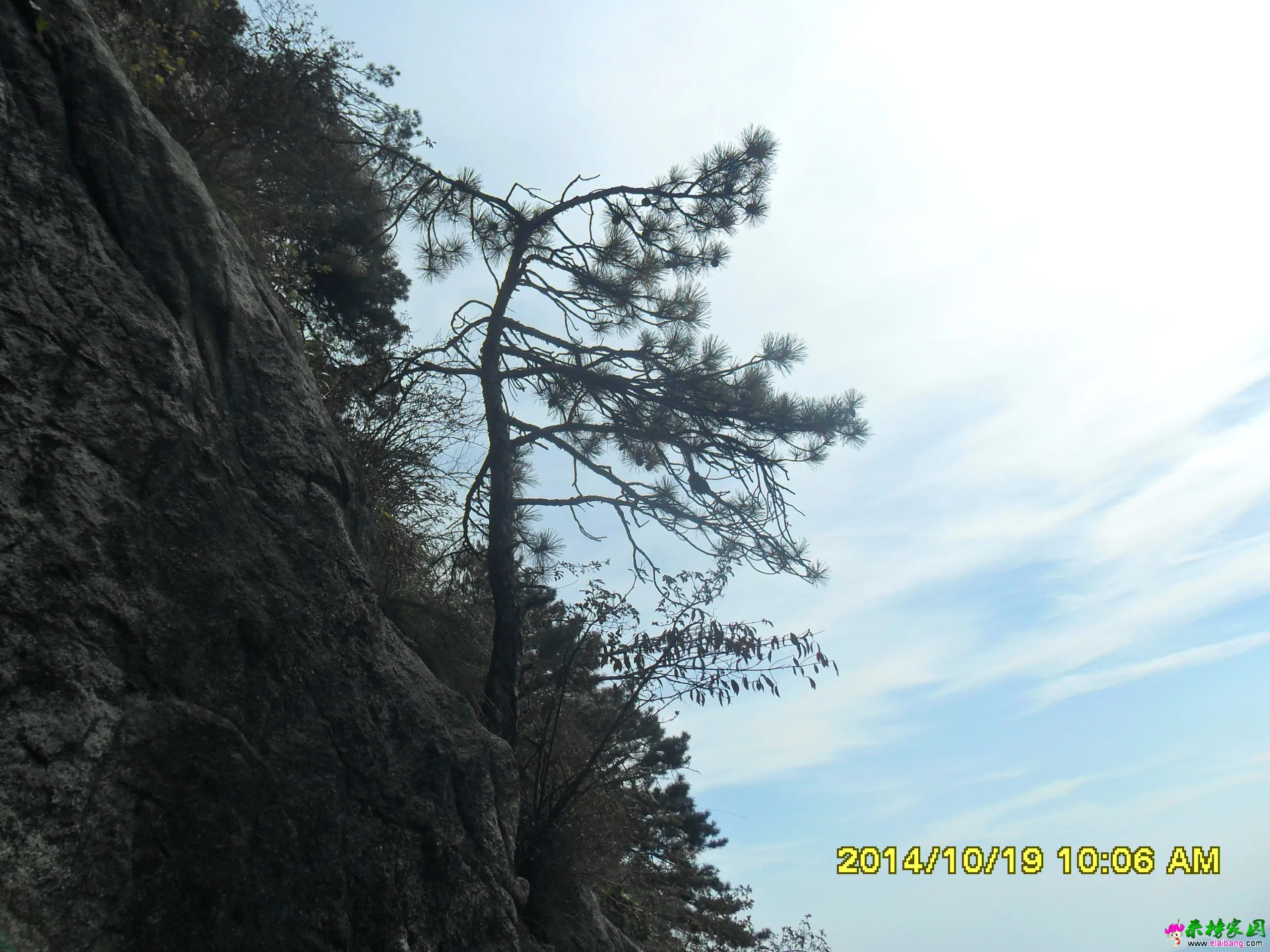 SAM_1694.webp