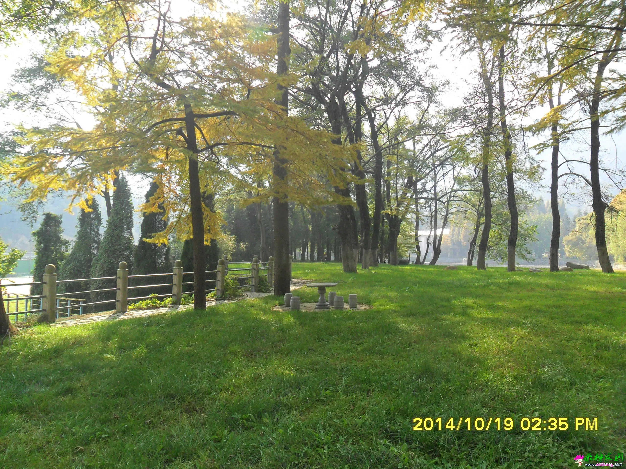 SAM_1738.webp