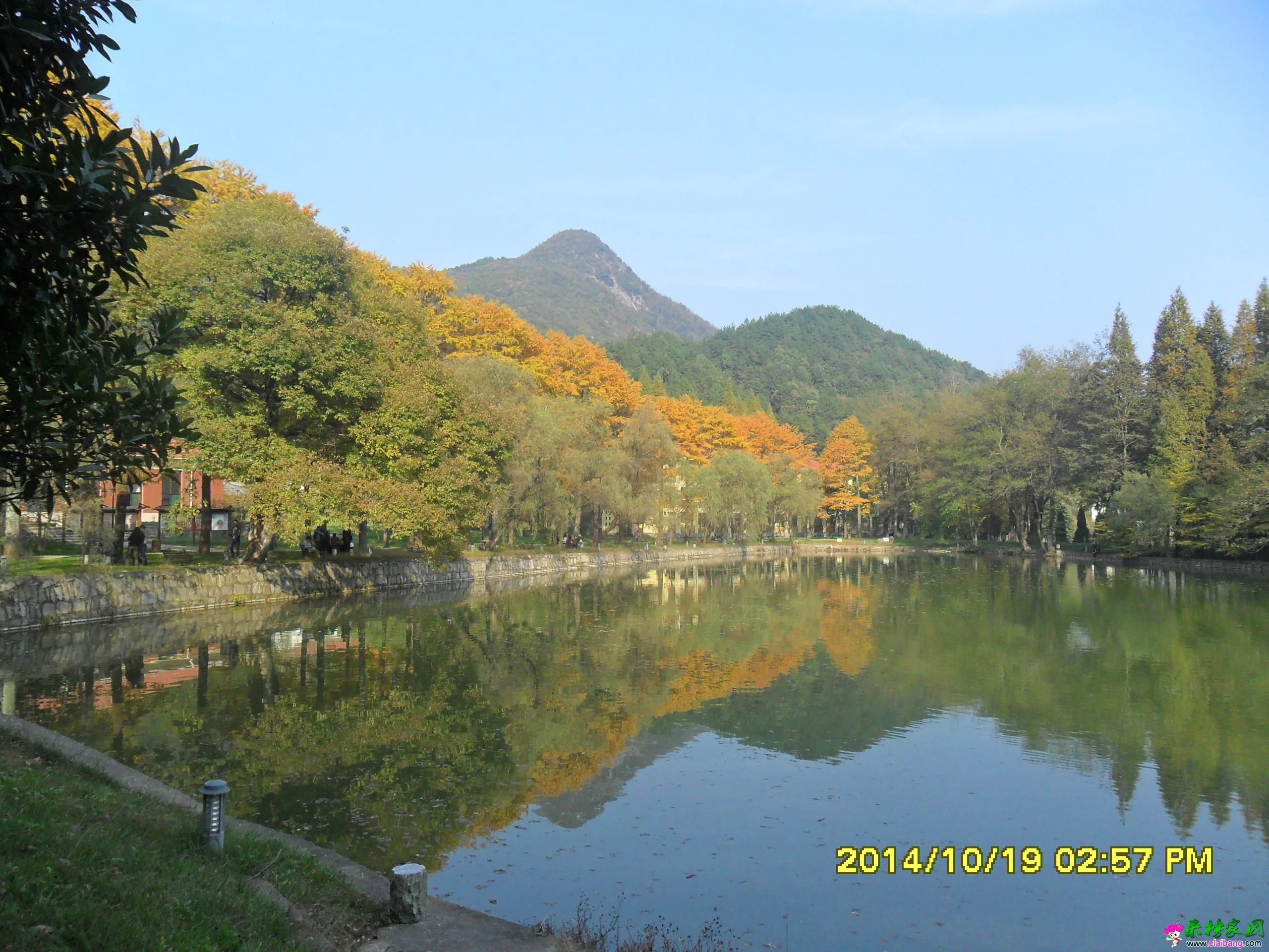 SAM_1757.webp