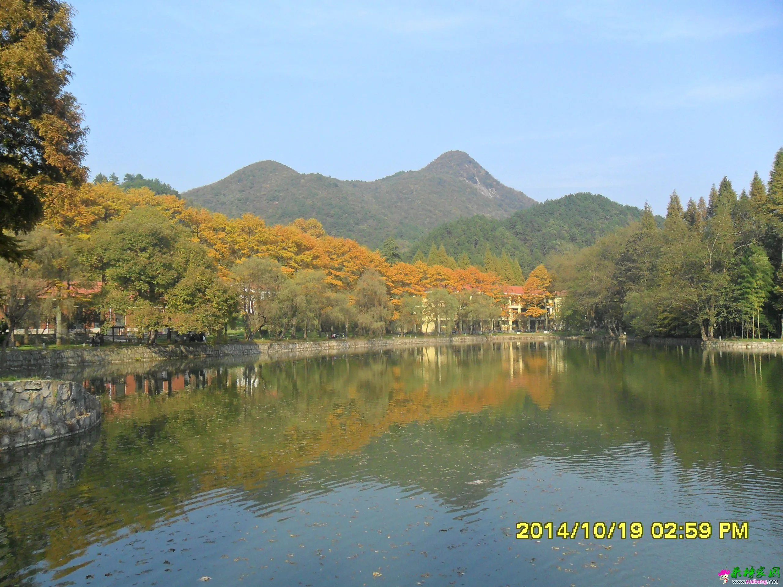 SAM_1763.webp