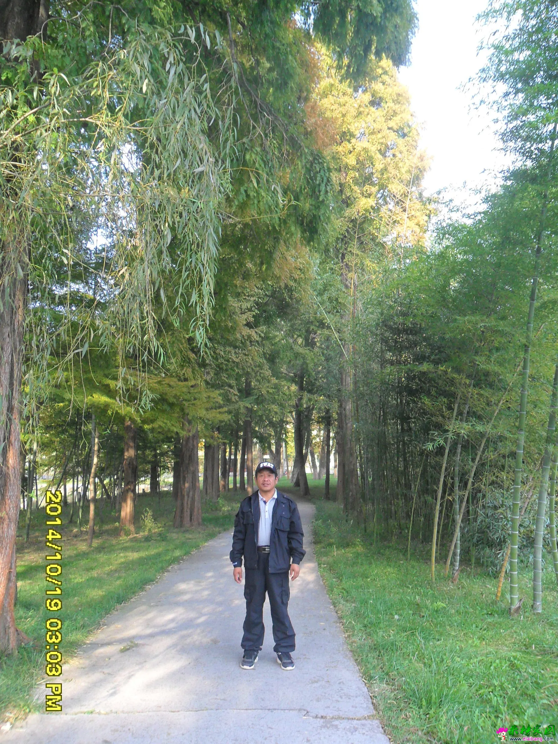 SAM_1772_旋转.webp