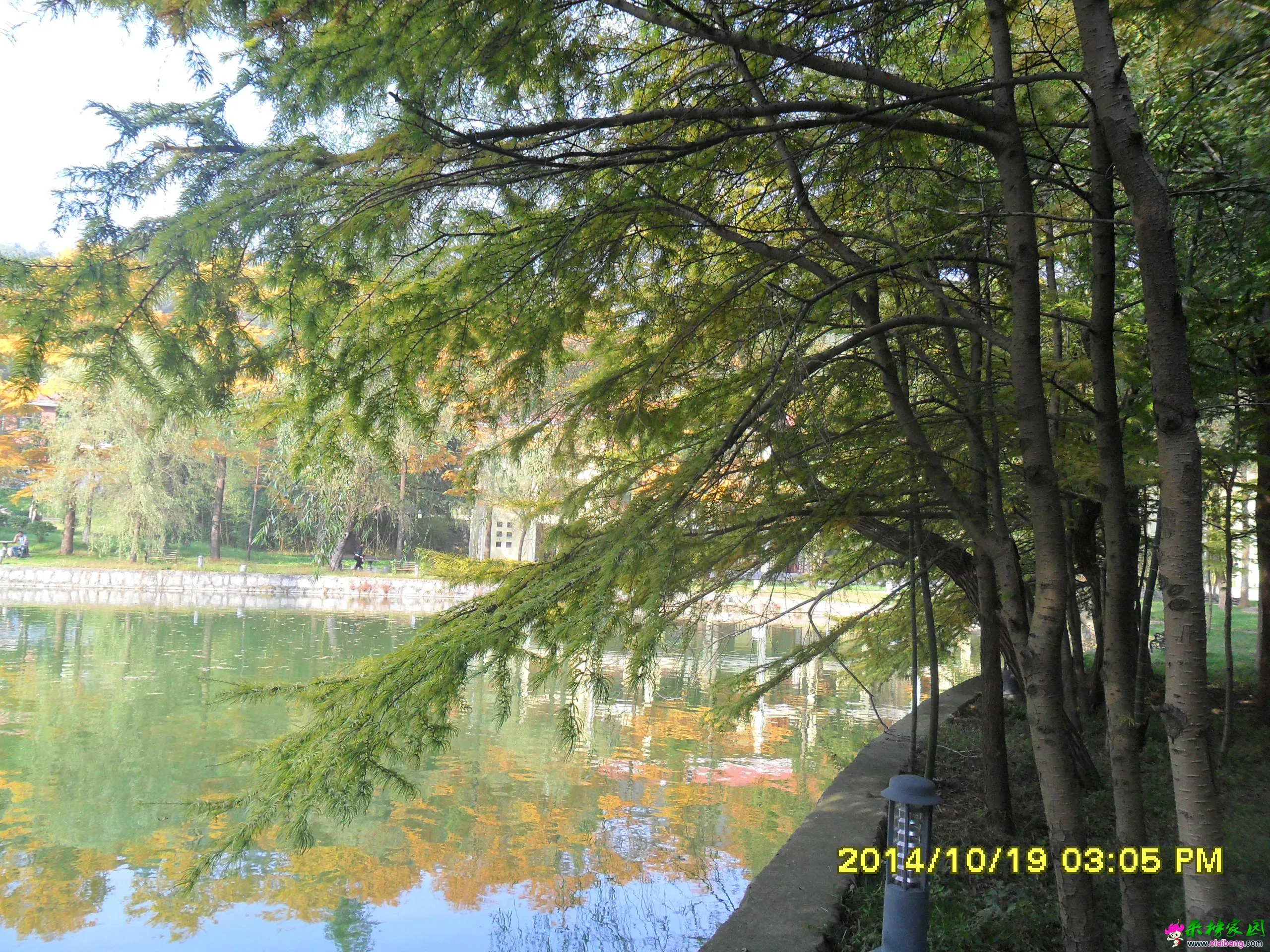 SAM_1777.webp