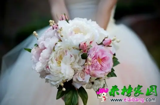 13517366814555.webp