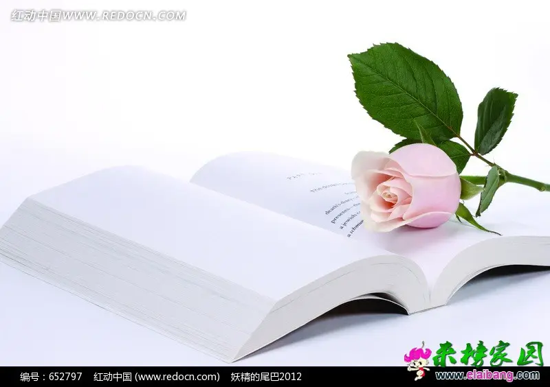 Redocn_2012032008532295.webp
